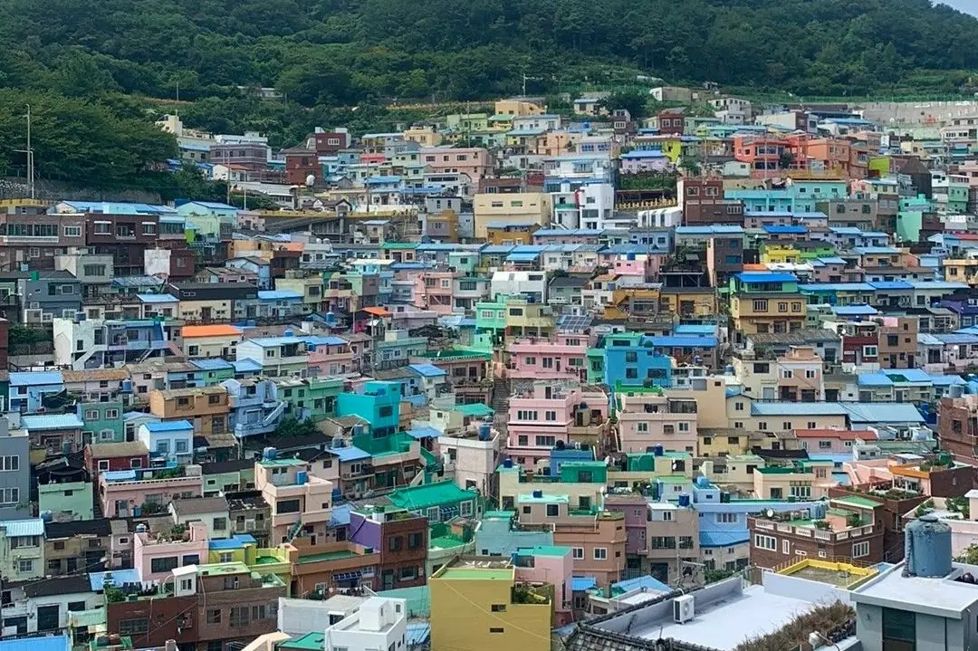 Busan Vegan Food Guide 2026: 15+ Best Plant-Based Restaurants (With Prices)