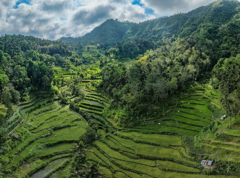 Indonesia Travel Guide 2026: Complete Backpacker’s Handbook
