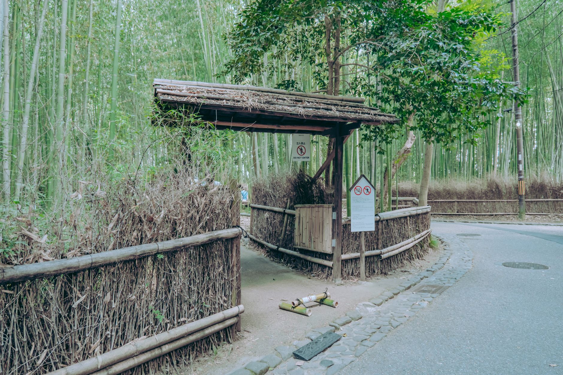 Arashiyama bamboo grove in Kyoto