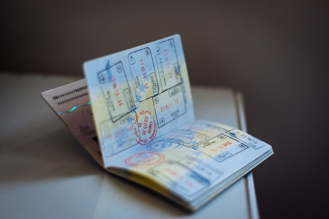 International driving permit and travel documents for car rental