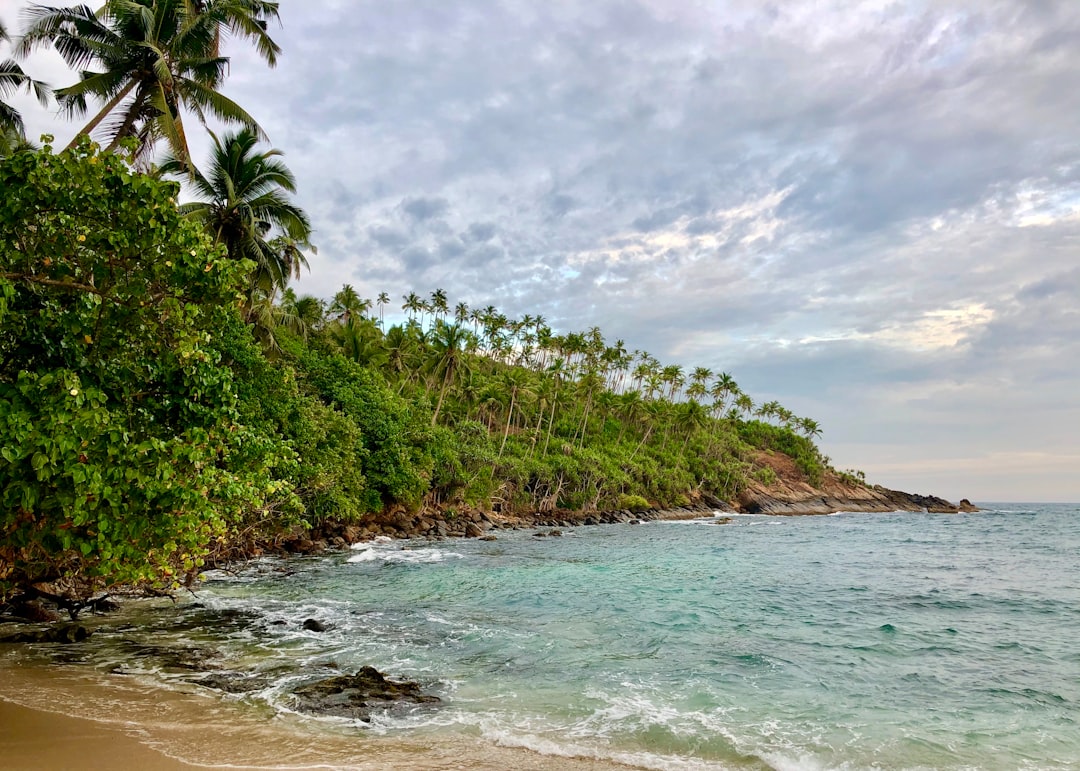 Palm lined beach on Sri Lanka's south coast