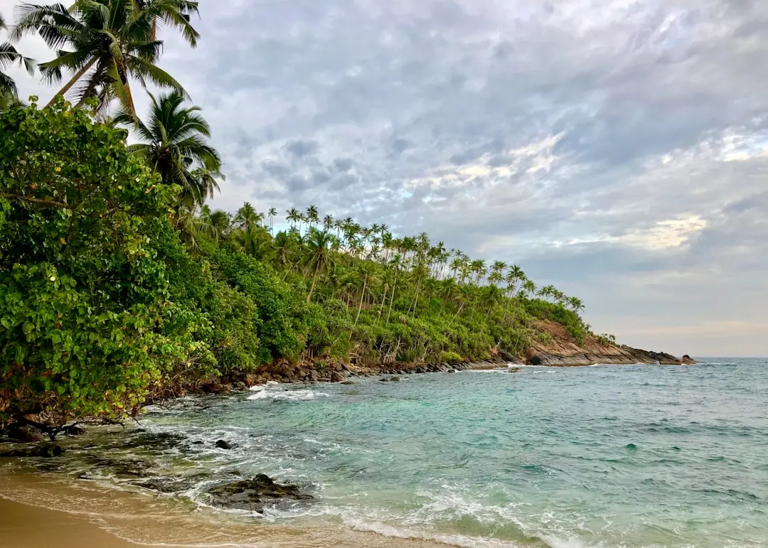 Palm lined beach on Sri Lanka's south coast