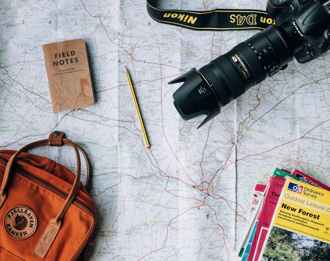 Traveller planning destinations with a phone and luggage