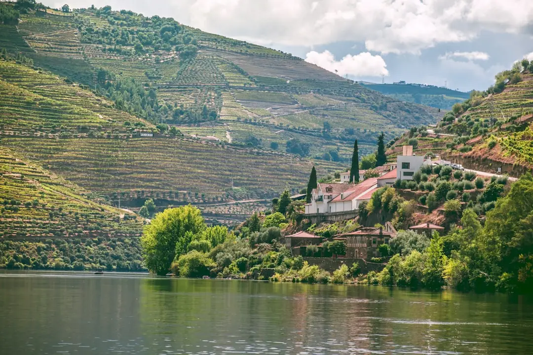 Best Day Trips from Porto 2026: Douro Valley, Braga, Guimaraes, Aveiro and More