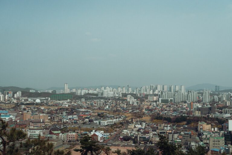 Best Day Trips from Seoul 2026: DMZ, Suwon, Nami Island, Bukhansan and More
