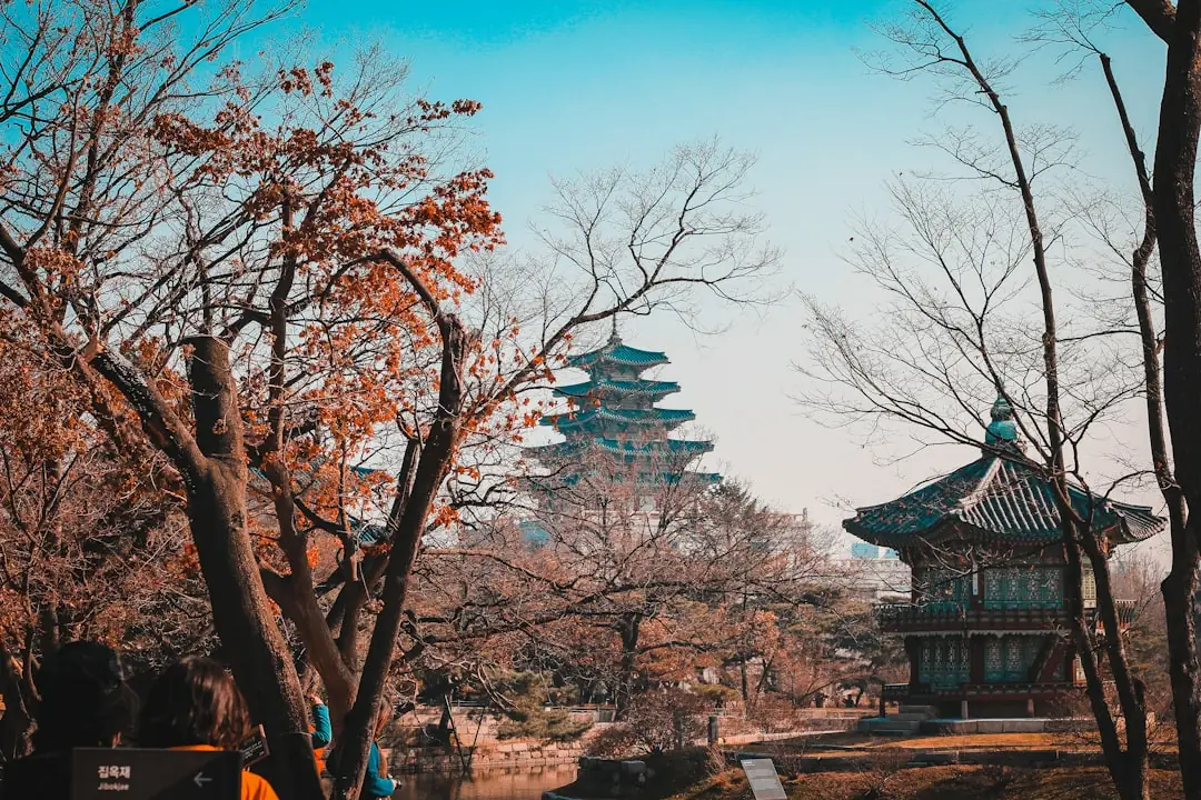 21 Best Things to Do in South Korea 2026: Seoul, Busan, Gyeongju and Jeju