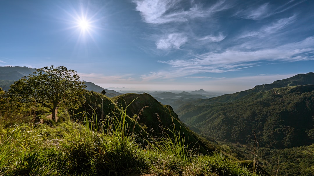 21 Best Things to Do in Sri Lanka 2026: Trains, Temples, Safaris and Beaches