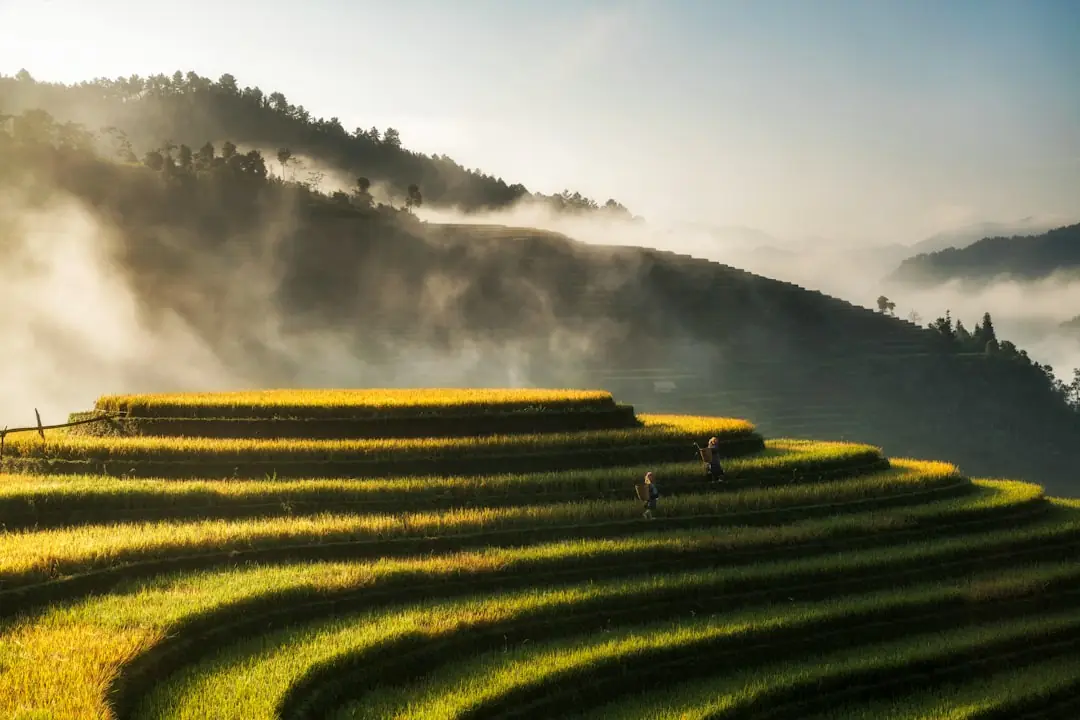 Best Travel Insurance for Vietnam 2026: Ha Giang, Sleeper Buses, Medical and Backpacker Cover