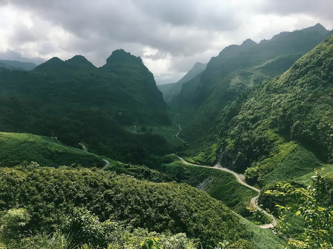 Da Nang to Hue 2026: Train, Bus, Private Driver or Hai Van Pass?