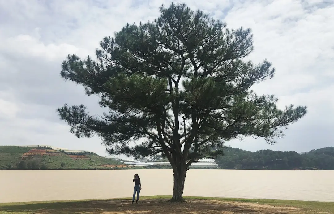 Ho Chi Minh City to Da Lat 2026: Bus, Flight, Sleeper or Private Transfer?