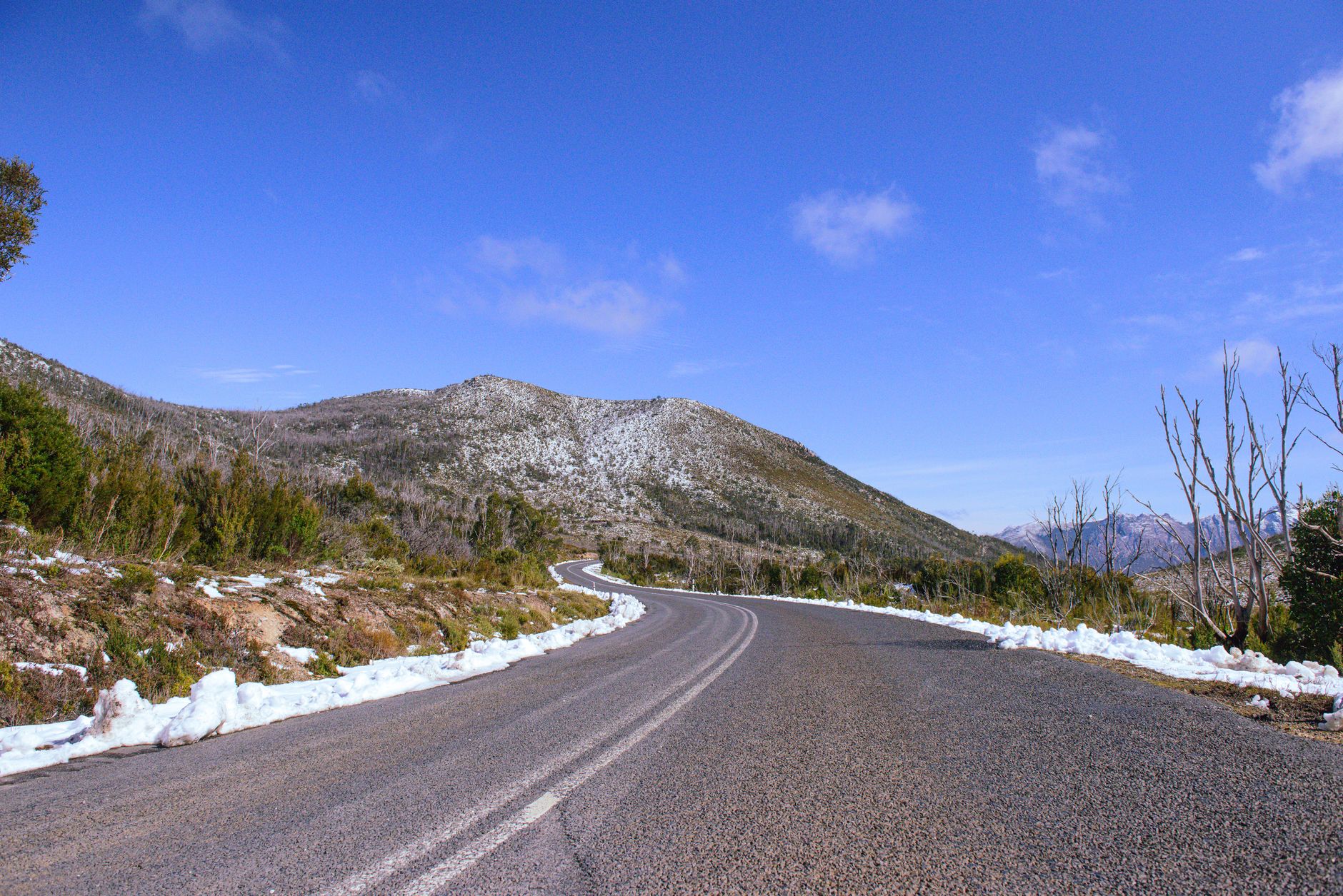 Renting a Car in Tasmania: Complete 2026 Road Trip Guide