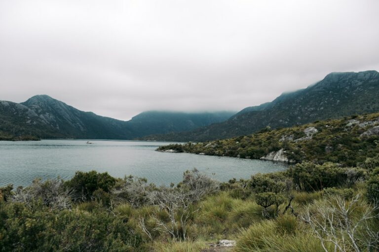 Tasmania 7 Day Road Trip Itinerary 2026: Hobart, Cradle Mountain, Freycinet and East Coast