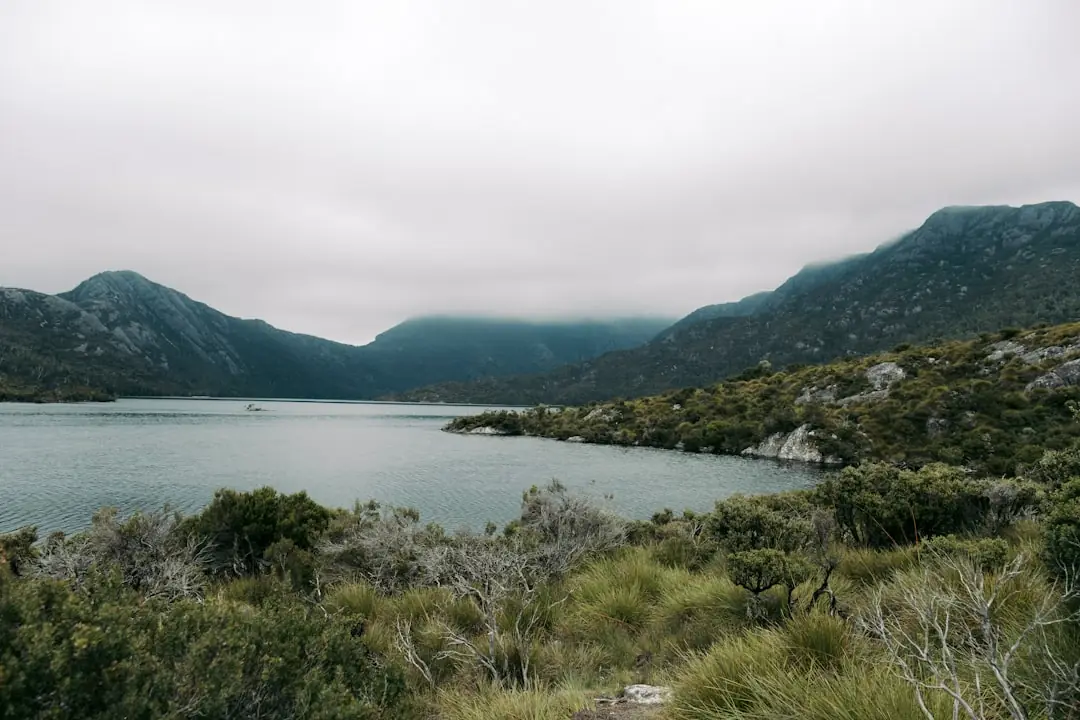 Tasmania 7 Day Road Trip Itinerary 2026: Hobart, Cradle Mountain, Freycinet and East Coast
