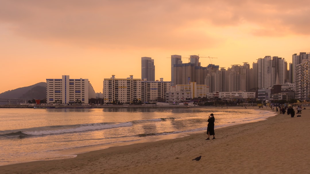 15 Best Things to Do in Busan 2026: Beaches, Markets, Temples and Views