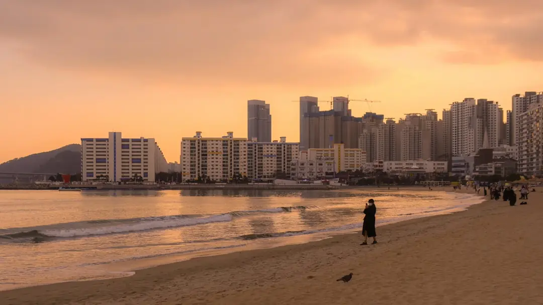 15 Best Things to Do in Busan 2026: Beaches, Markets, Temples and Views