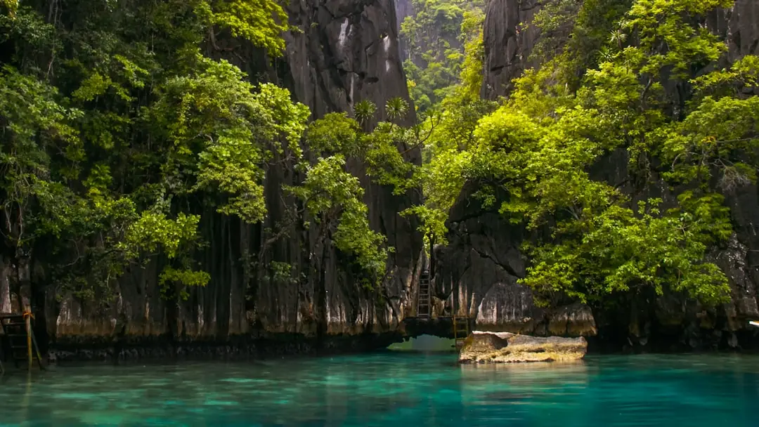 15 Best Things to Do in Coron 2026: Lakes, Lagoons, Island Hopping and Diving