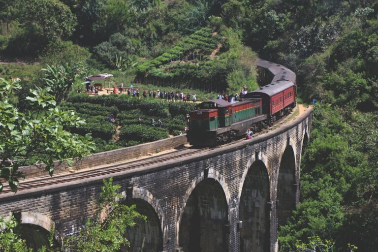 15 Best Things to Do in Ella 2026: Hikes, Tea Country, Trains and Waterfalls