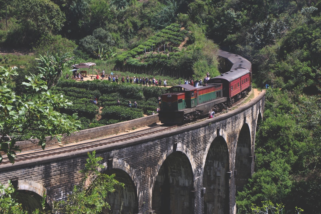 15 Best Things to Do in Ella 2026: Hikes, Tea Country, Trains and Waterfalls