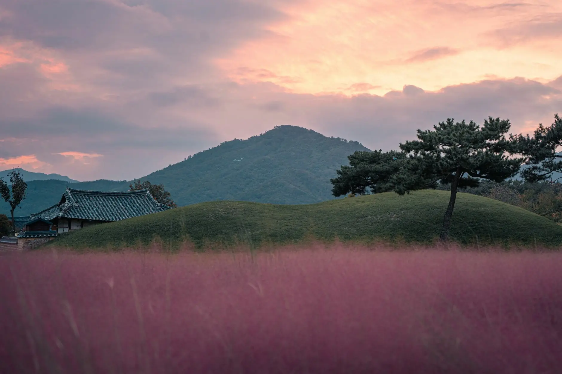 15 Best Things to Do in Gyeongju 2026: Temples, Tombs, Food and Silla History