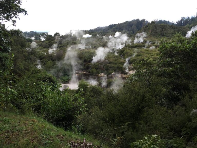 15 Best Things to Do in Rotorua 2026: Geothermal Parks, Maori Culture and Redwoods