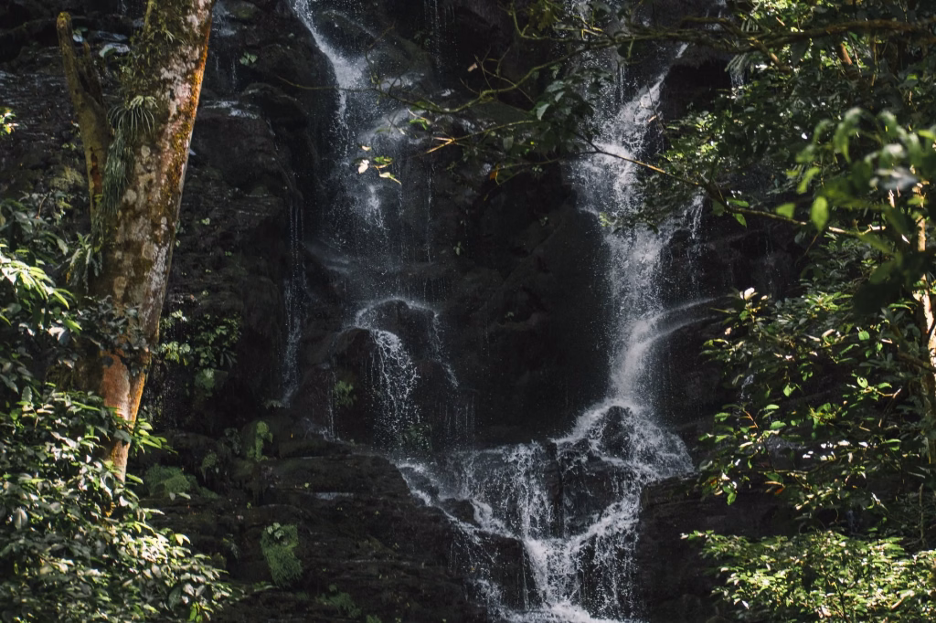 Costa Rica rainforest backpacker travel