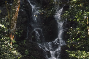 Costa Rica rainforest backpacker travel