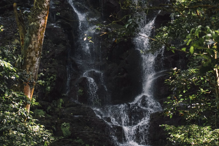 Best Travel Insurance for Costa Rica 2026: Medical Cover, SafetyWing, Surf, Ziplining, Rental Cars and Jungle Trips