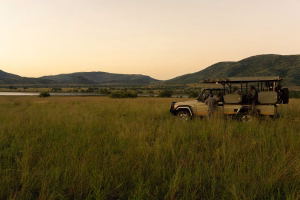 South Africa safari traveller insurance