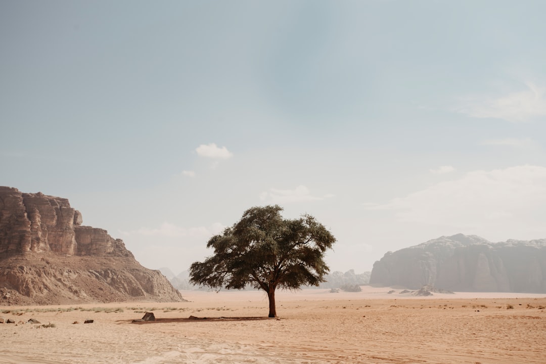 Wadi Rum Jordan desert road trip