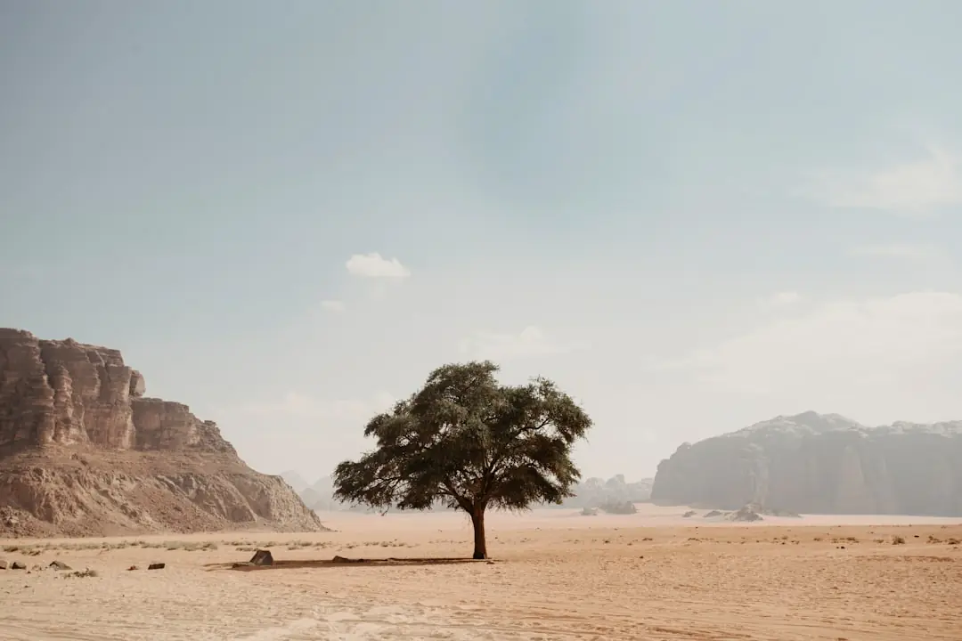 Wadi Rum Jordan desert road trip