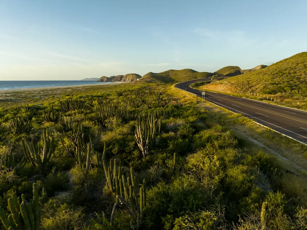 Baja California Mexico road trip car