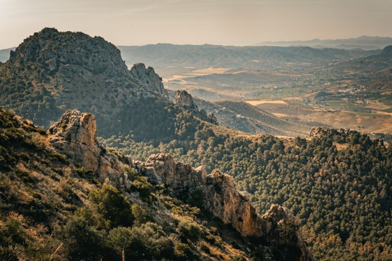 Renting a Car in Spain: Complete 2026 Guide for Road Trips, Islands and Andalucia