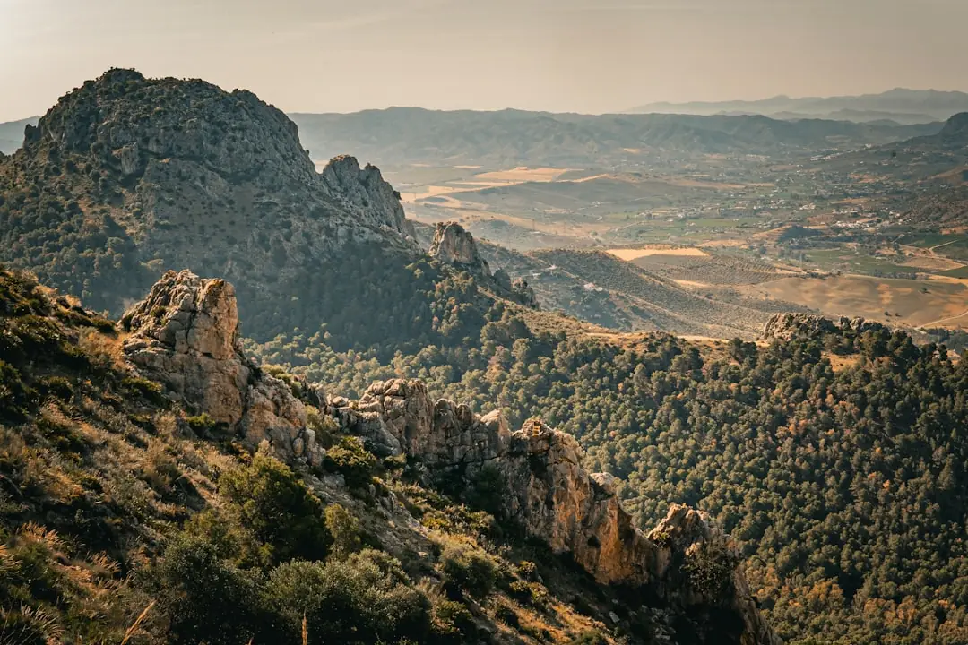 Renting a Car in Spain: Complete 2026 Guide for Road Trips, Islands and Andalucia