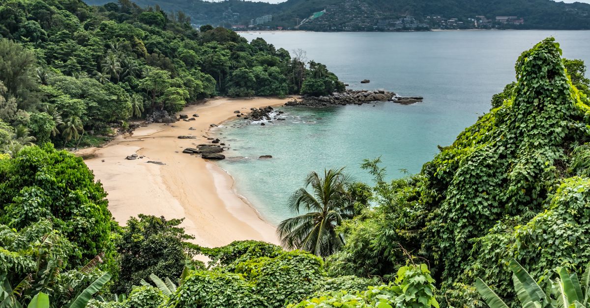 Sandy beach and wooded headland in Phuket
